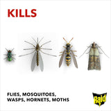 RAID FLY & WASP KILLER 300ML
