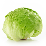 ICEBERG LETTUCE