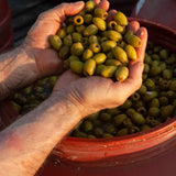 SEGGIANO ROSATE DI BITETTO OLIVES 190G