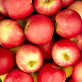 FRUIT EXPRESS PINK LADY APPLE UNIT